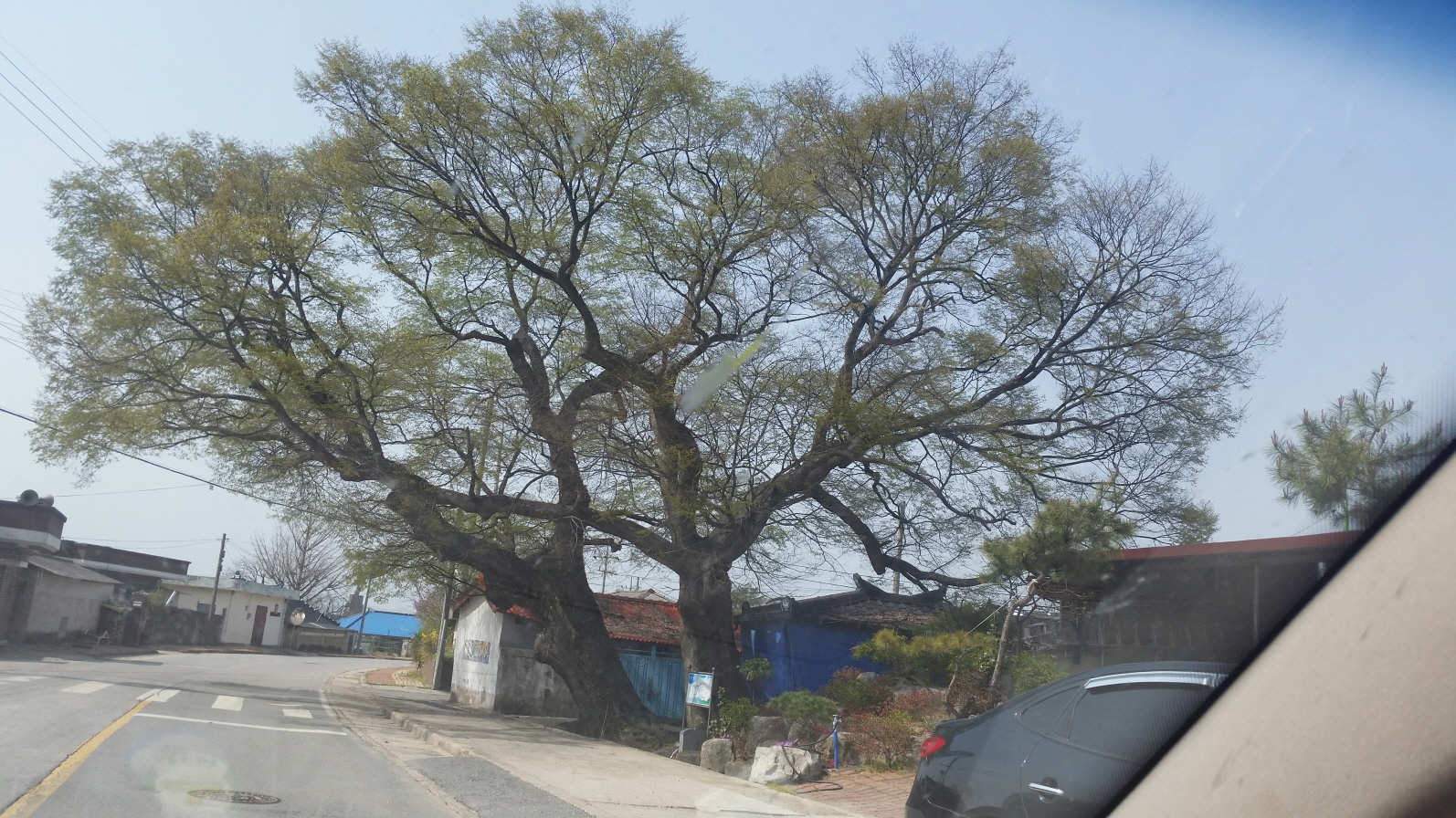 re20160409_144650.jpg
