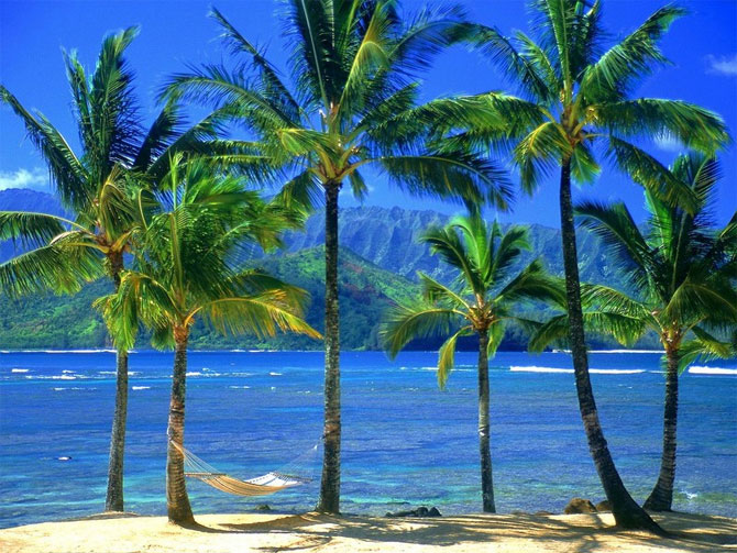 8. Hawaii.jpg